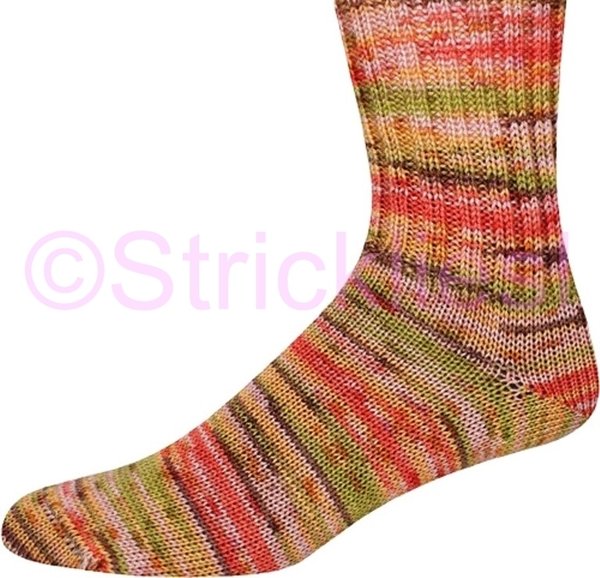Online Sockenwolle Sort. 257 4-fach Aspen Color 100gr 6,95€