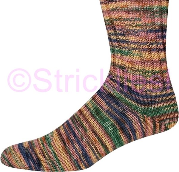 Online Sockenwolle Sort. 257 4-fach Aspen Color 100gr 6,95€